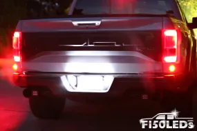 2024 F150 License Plate Tag LED Bulbs
