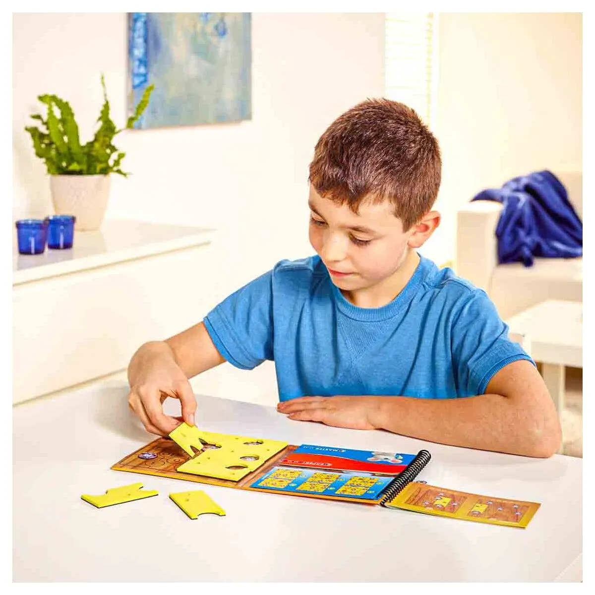 Brain Cheeser Magnetic Puzzle Game