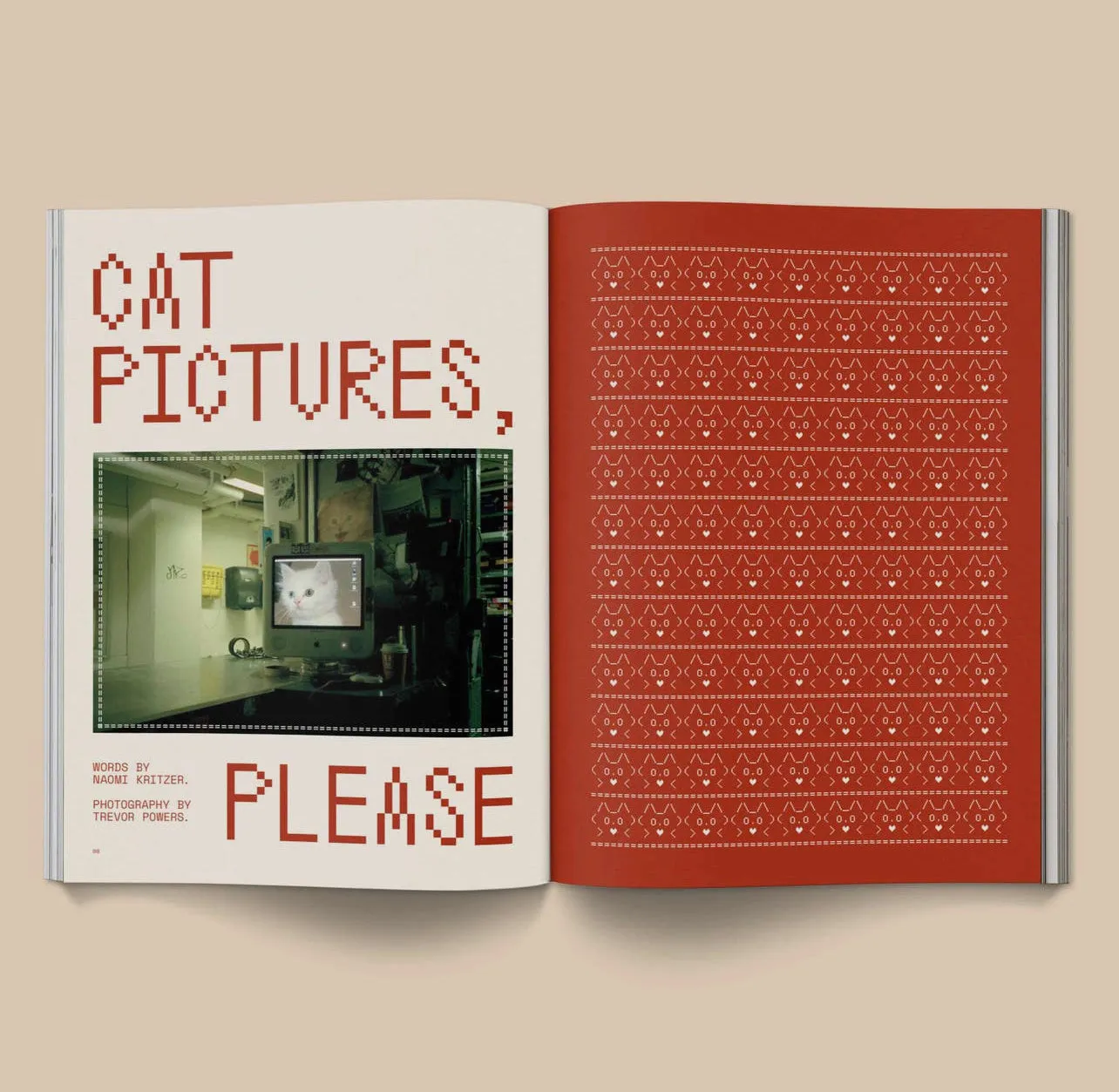Catnip Magazine