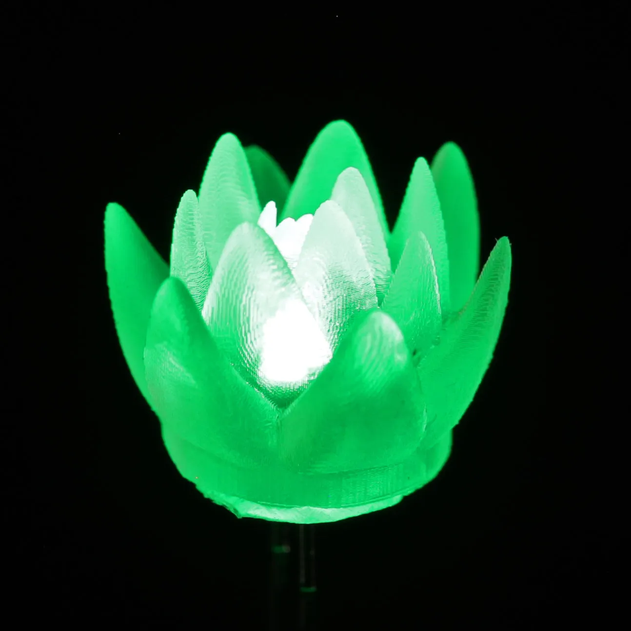 dLUX-dLITE LEDs