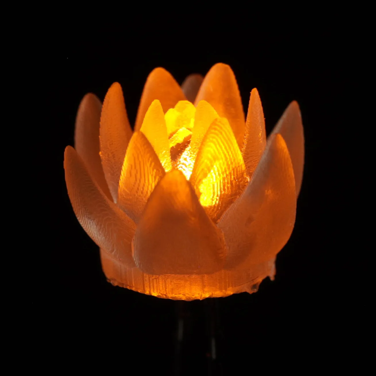 dLUX-dLITE LEDs