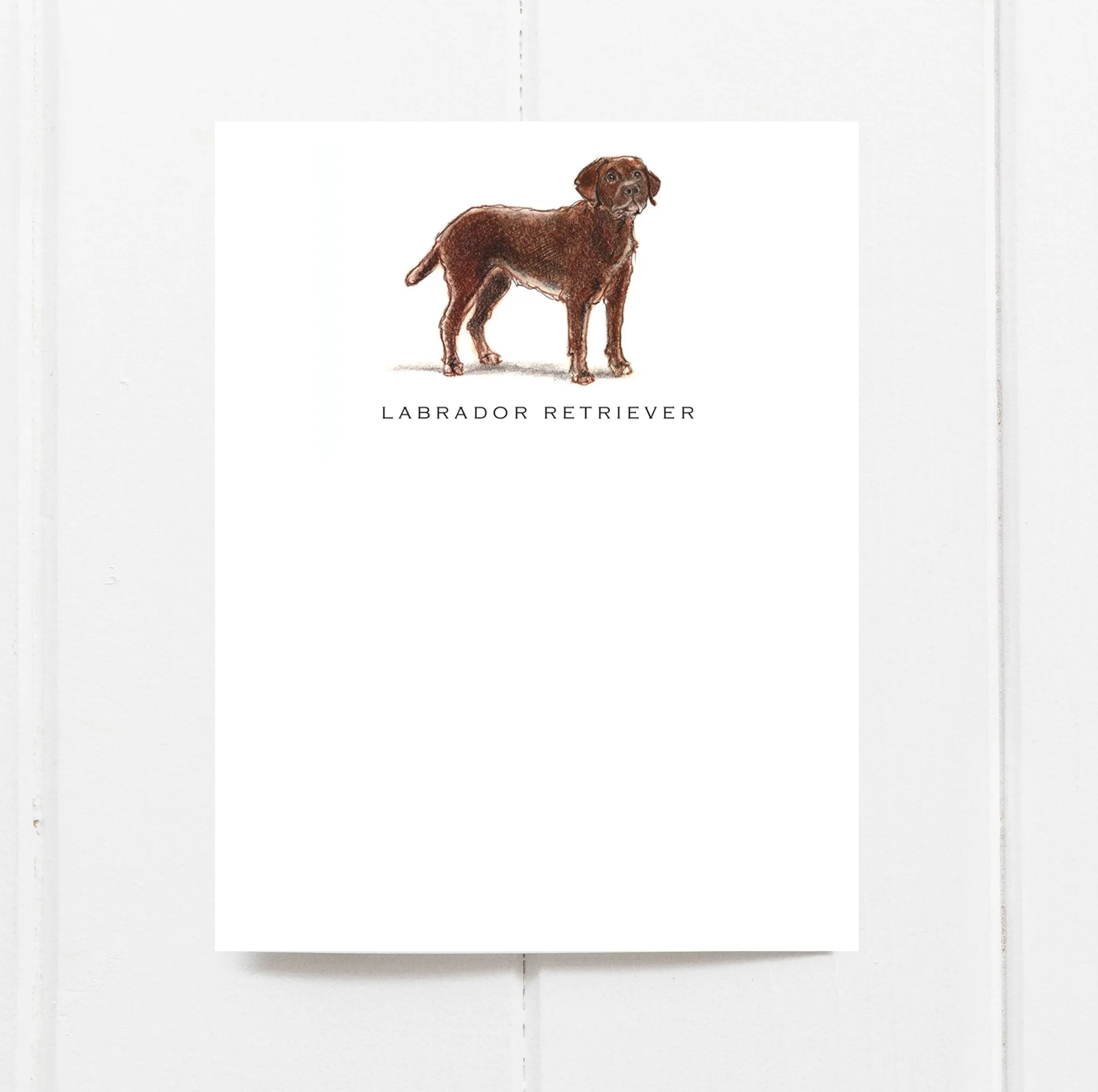 Dog Notecard Sets, Fable & Sage