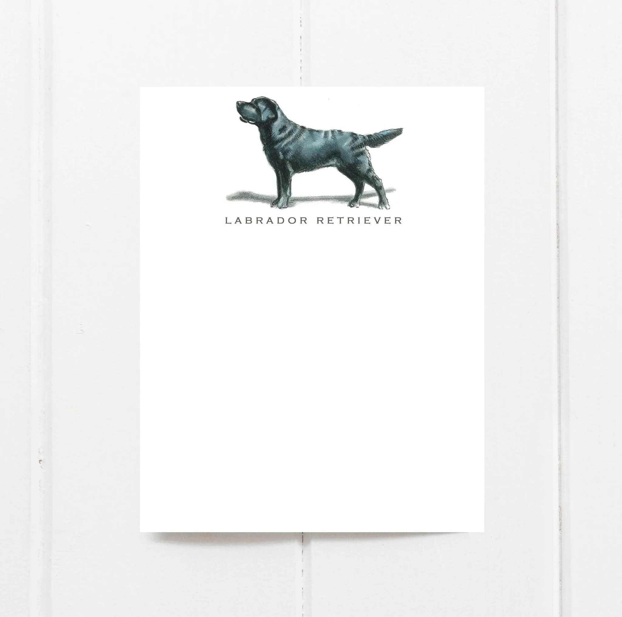 Dog Notecard Sets, Fable & Sage