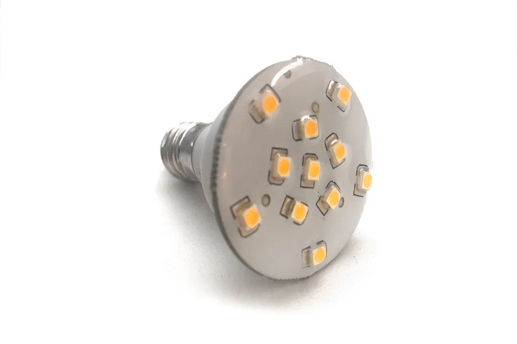 E14 (Warm White) LED Bulbs