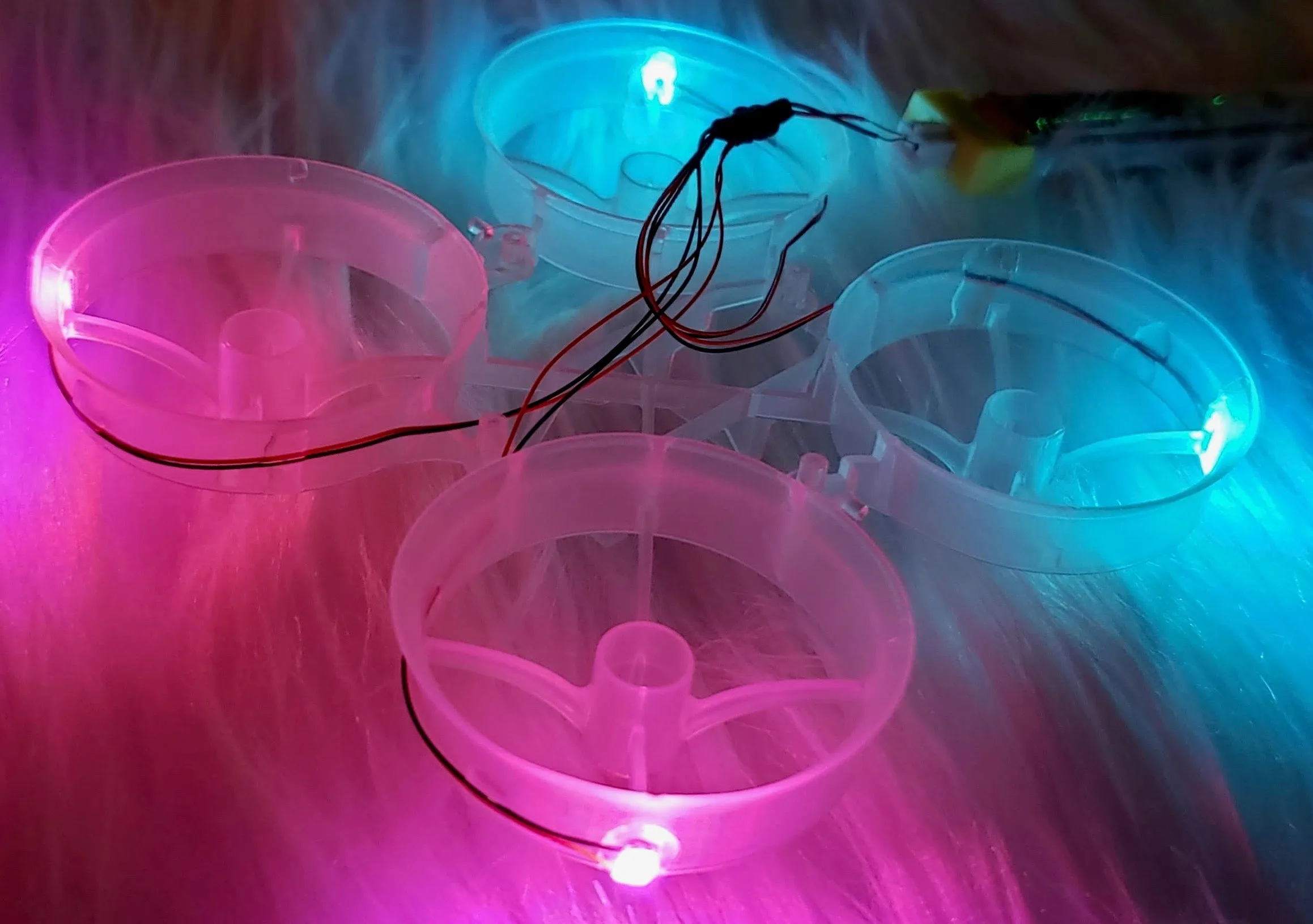 LED Cockroach Frames