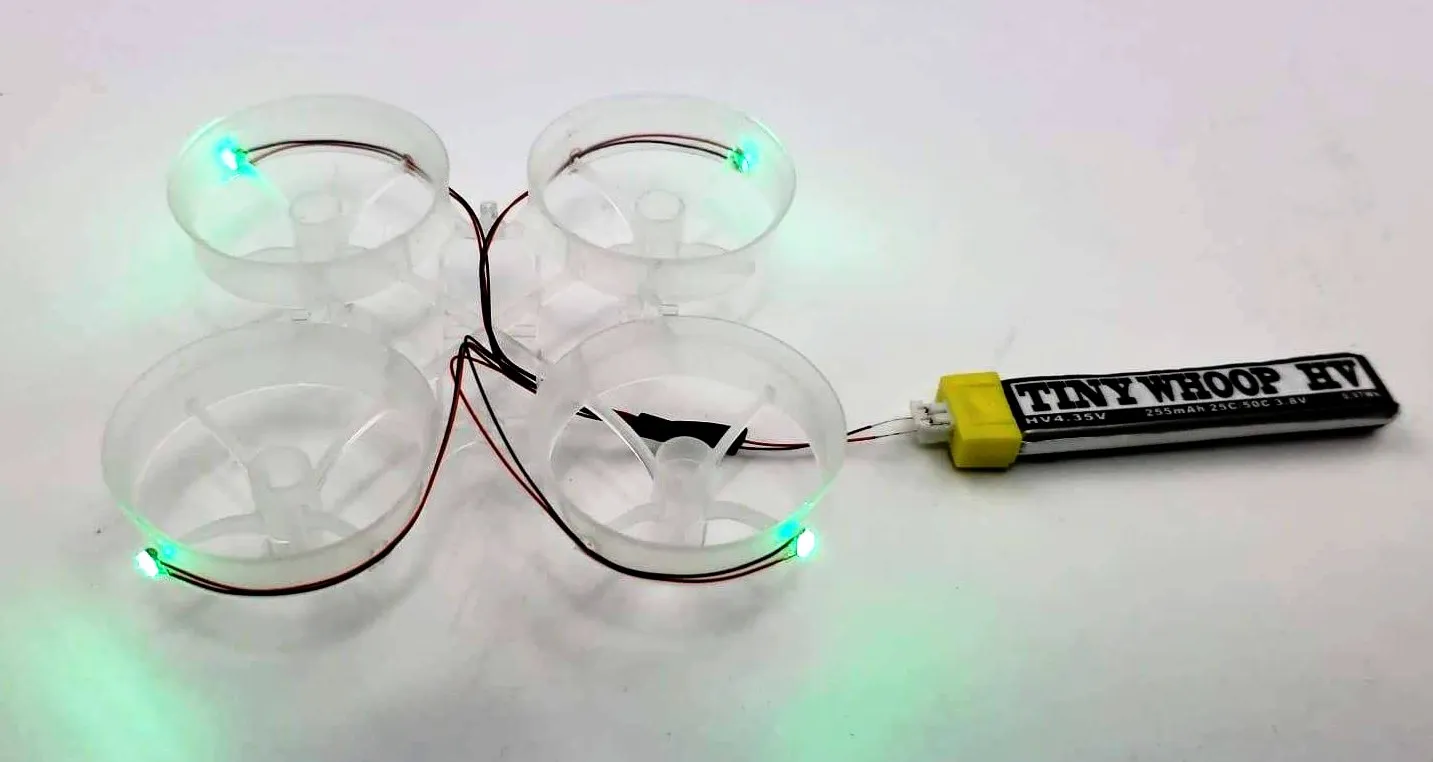 LED Cockroach Frames
