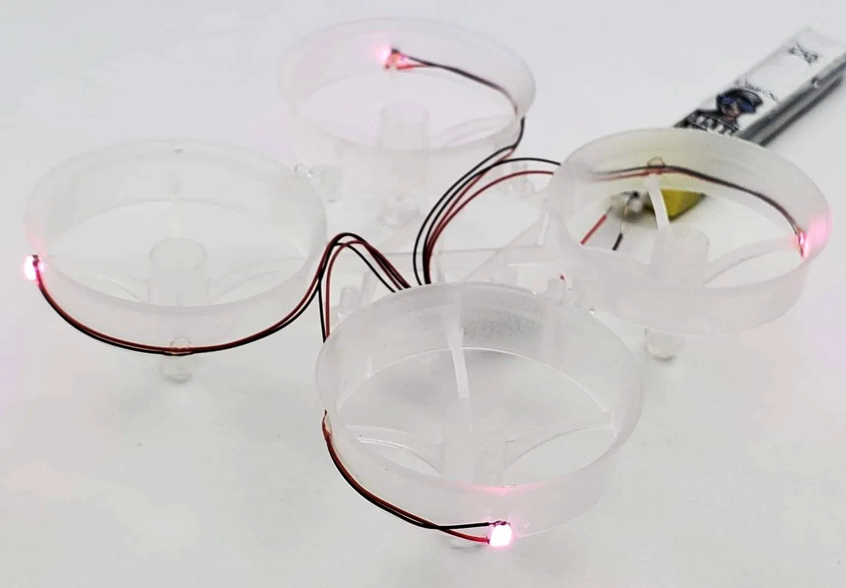 LED Cockroach Frames