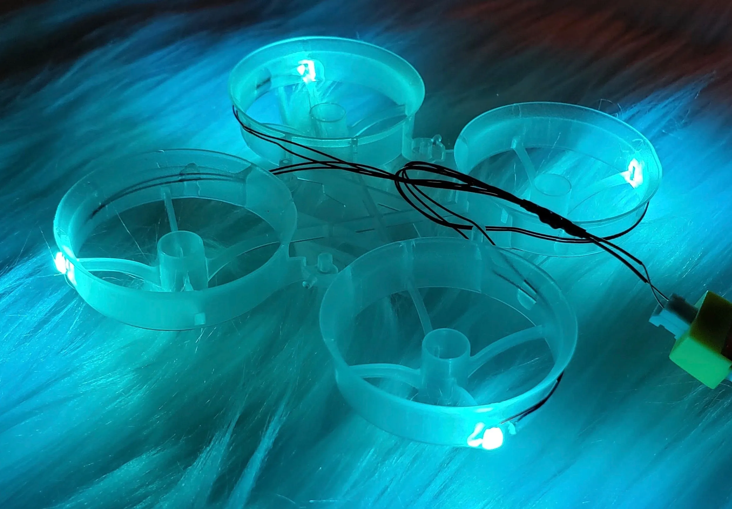 LED Cockroach Frames