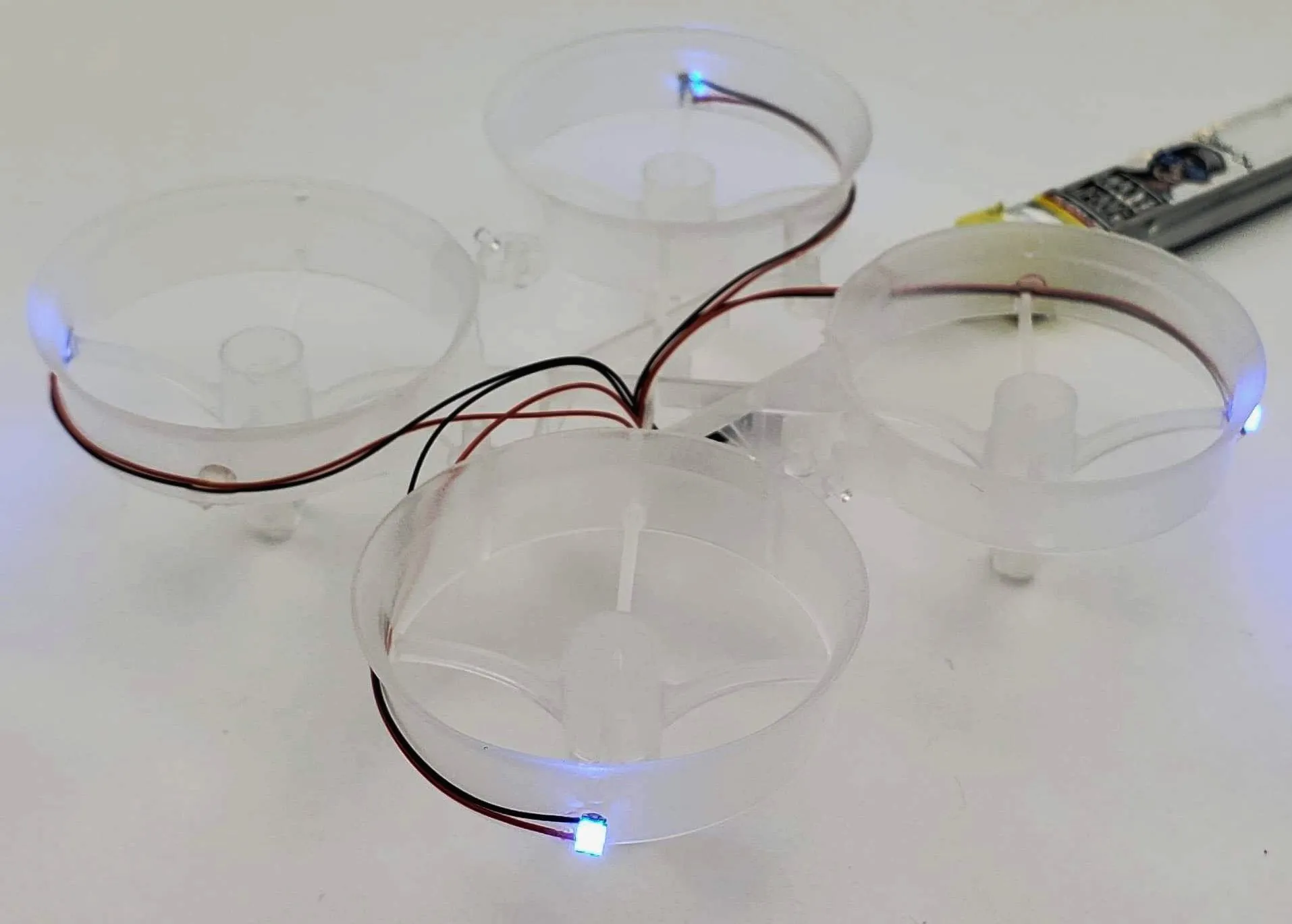 LED Cockroach Frames