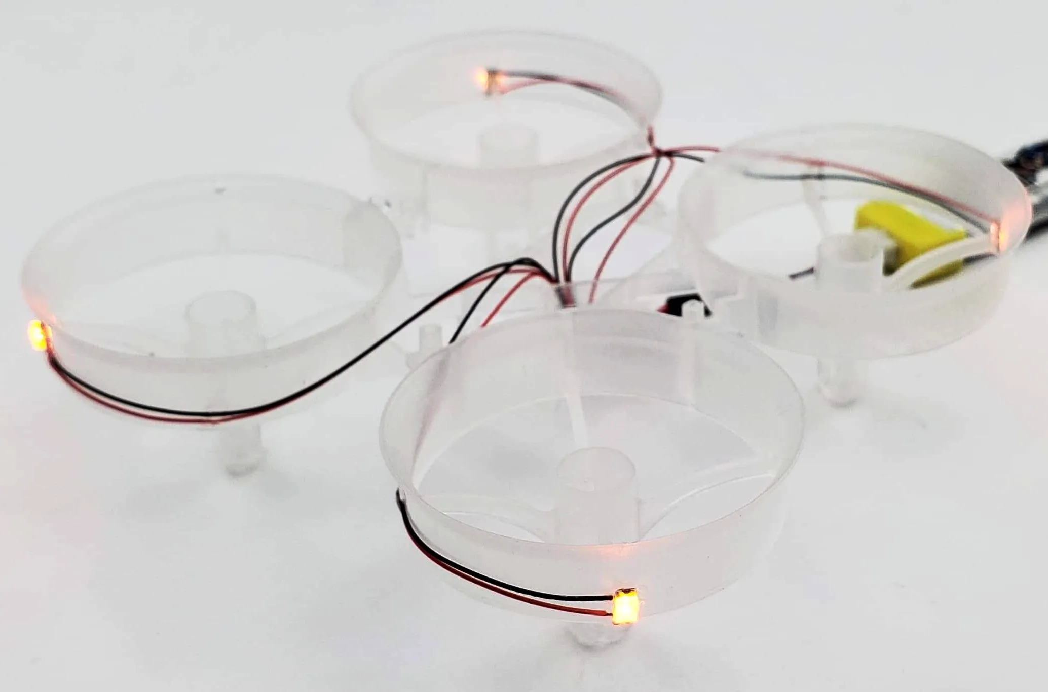 LED Cockroach Frames