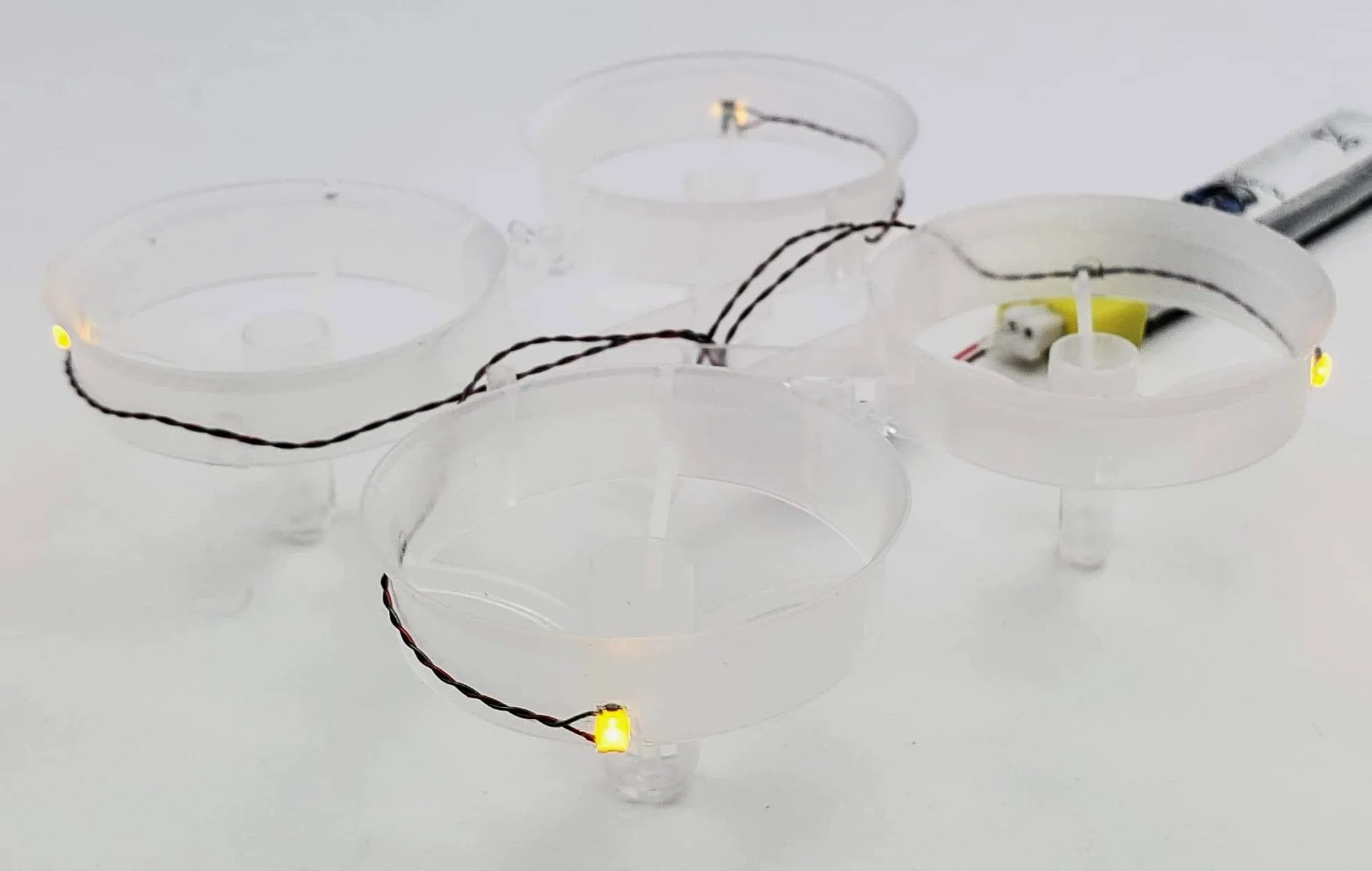 LED Cockroach Frames