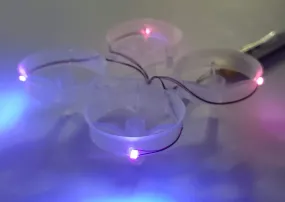 LED Cockroach Frames