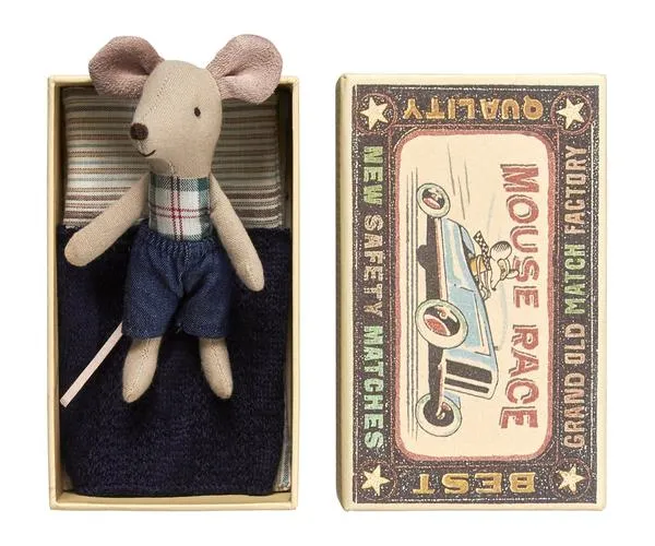 Little Brother Mouse in Box