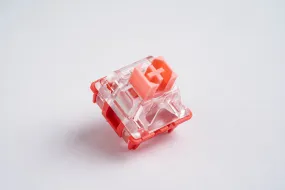 Momoka Flamingo Linear Switches
