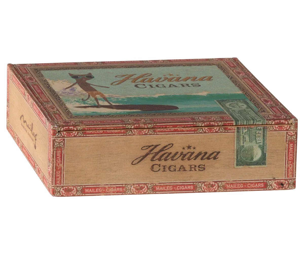 MUM & DAD MICE IN CIGARBOX
