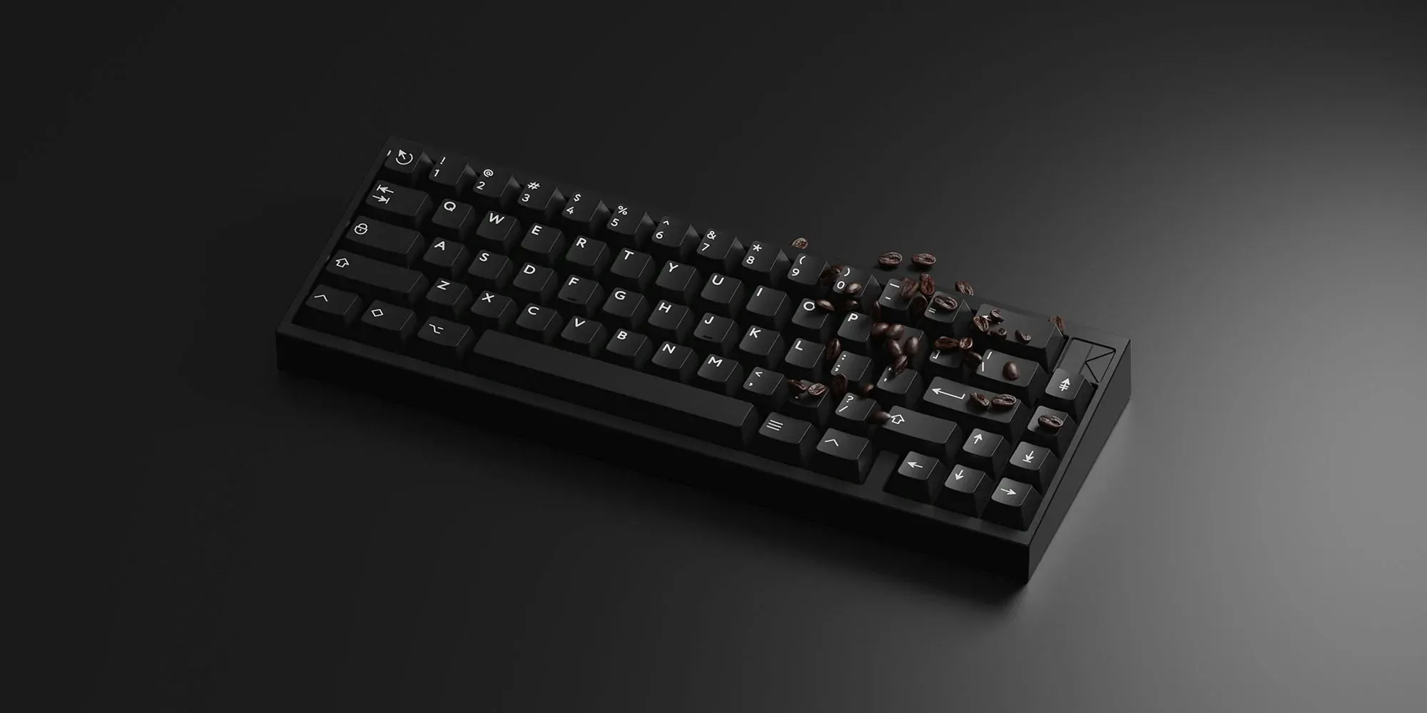 PBTFans White on Black (WoB)