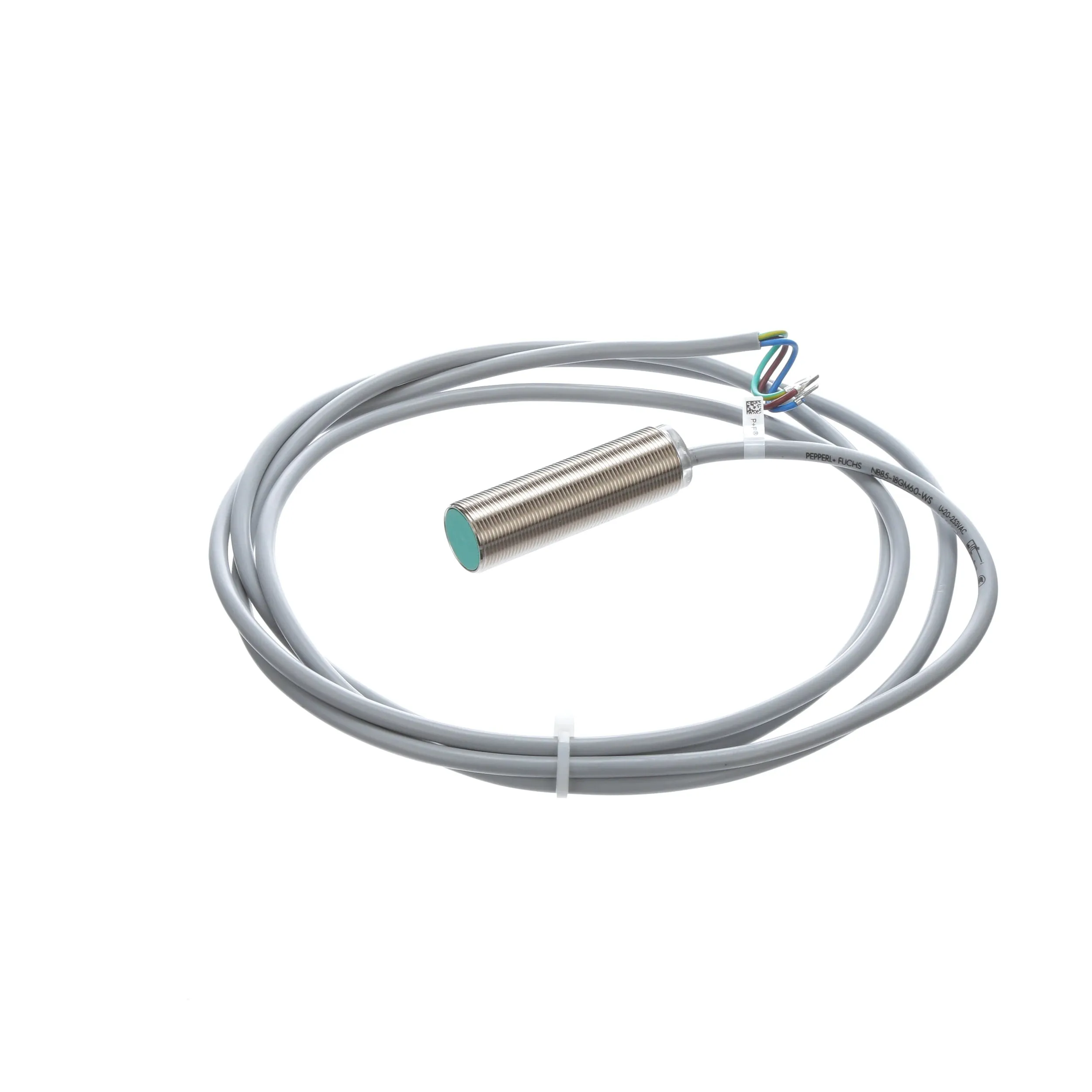 Pepperl Fuchs Factory Automation NBB5-18GM60-WS