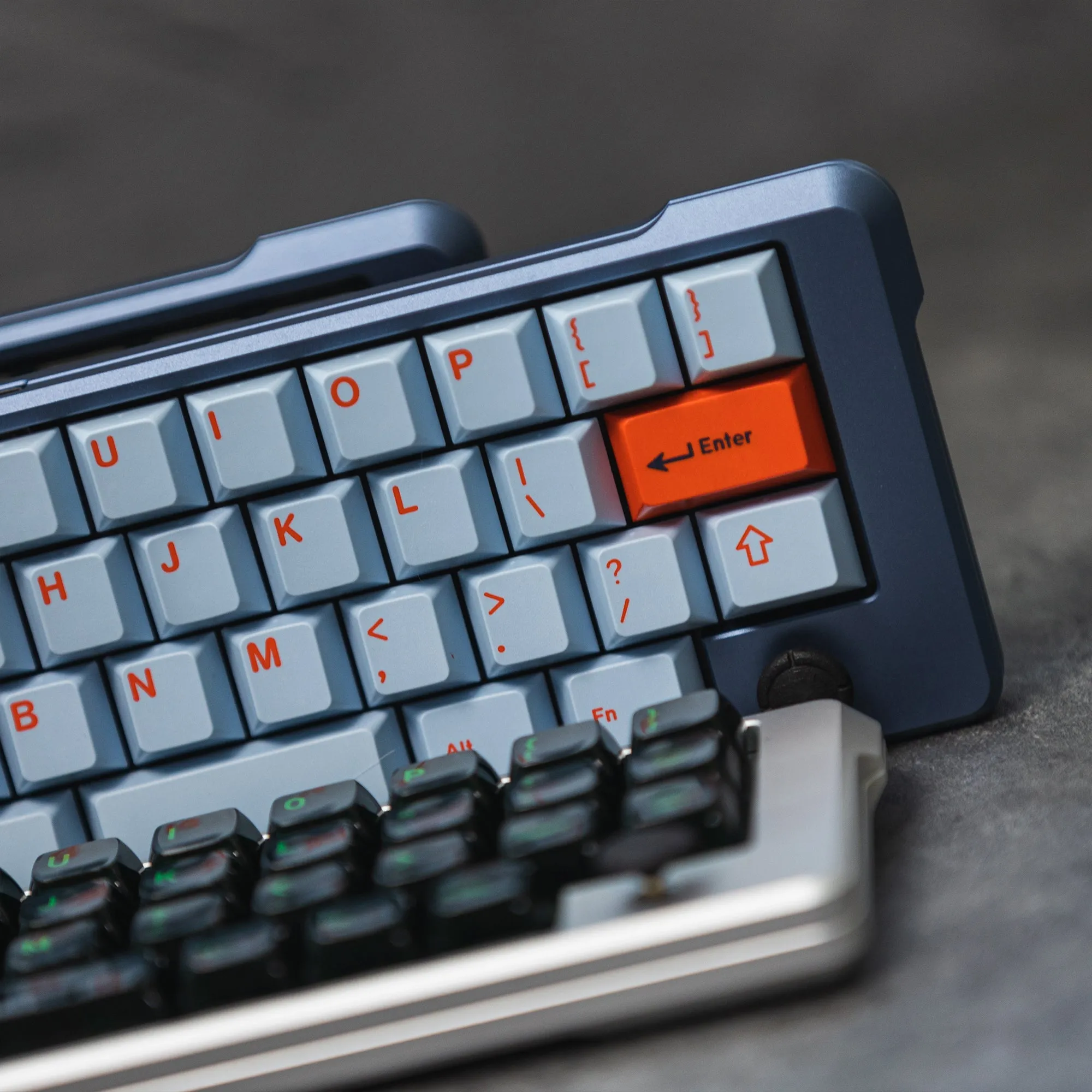 [Pre order] Sirius Manta