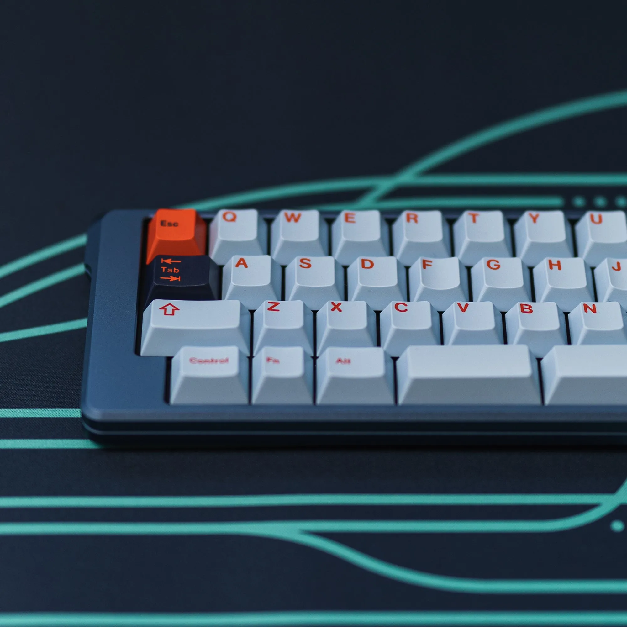 [Pre order] Sirius Manta