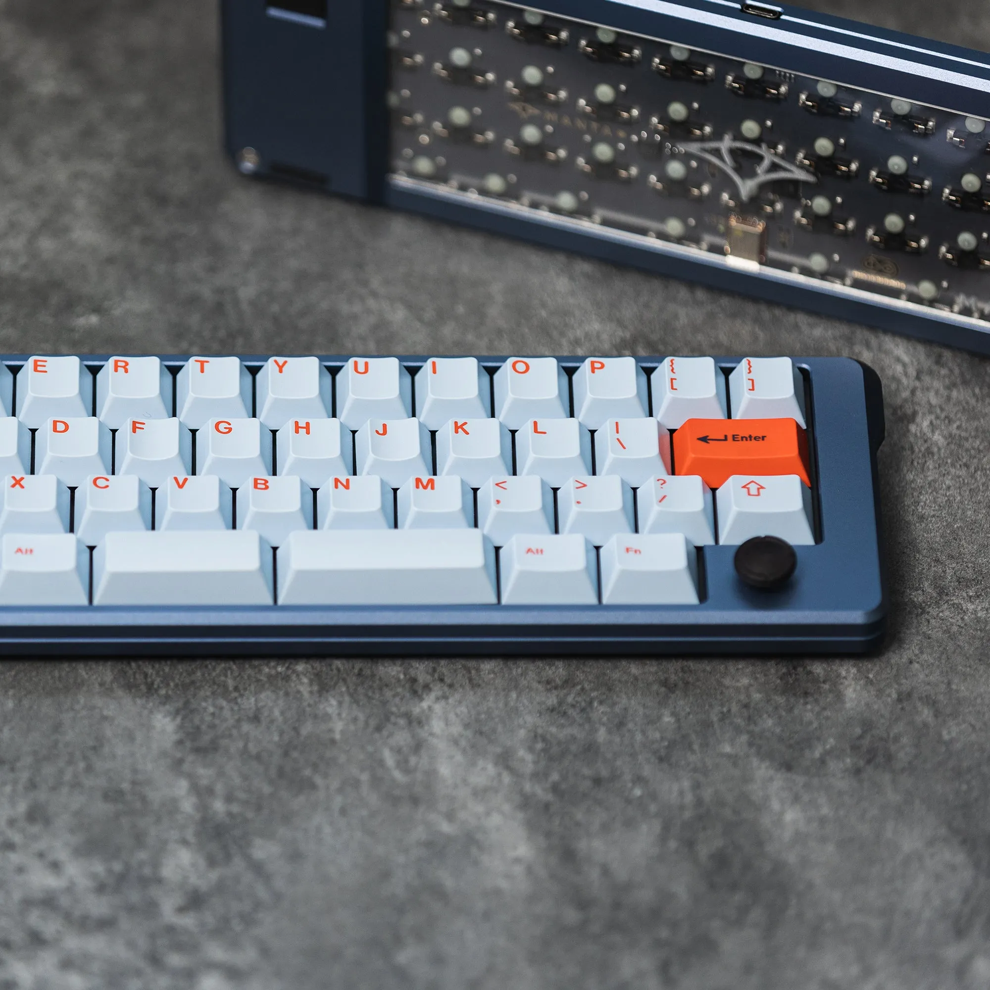 [Pre order] Sirius Manta