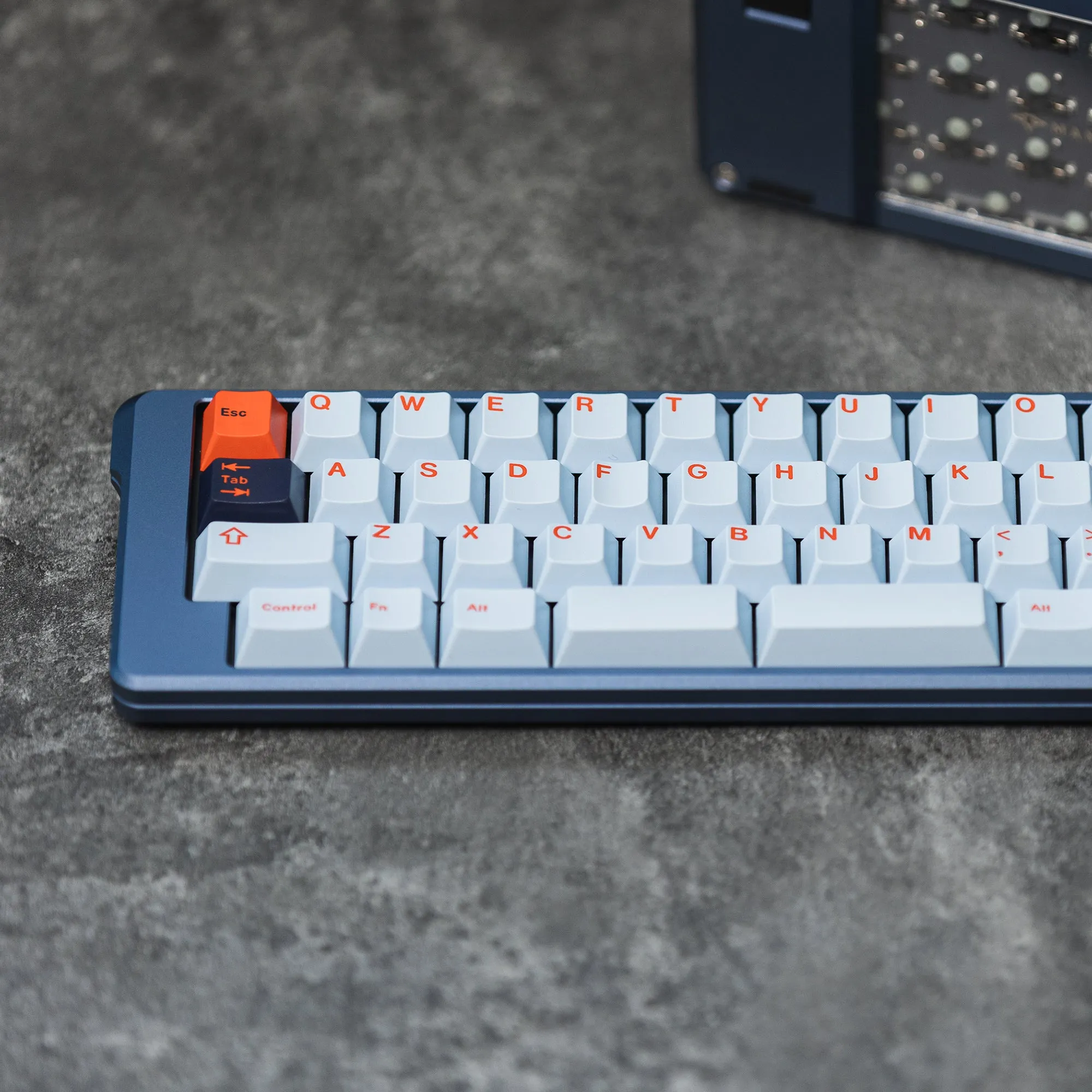 [Pre order] Sirius Manta